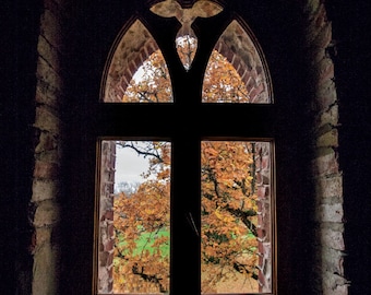 Postcards. Window of an old manor house for Postcrossing fans