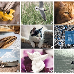 Colección de postales de última oportunidad y descuento de último minuto. Elige tu fotografía de Bellas Artes favorita para los fans de Postcrossing