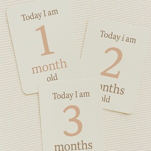Cartes d'étapes pour bébé – Ensemble imprimable de 12 | Conception pastel doux | Étapes mensuelles du nouveau-né | Téléchargement numérique