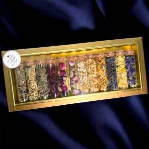 Kräutertee Sampler Geschenkbox - 12 Glass Tube Apotheker Kit