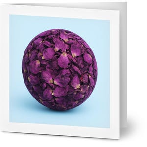 Velvet Essence - Pack of 10 Greeting Cards