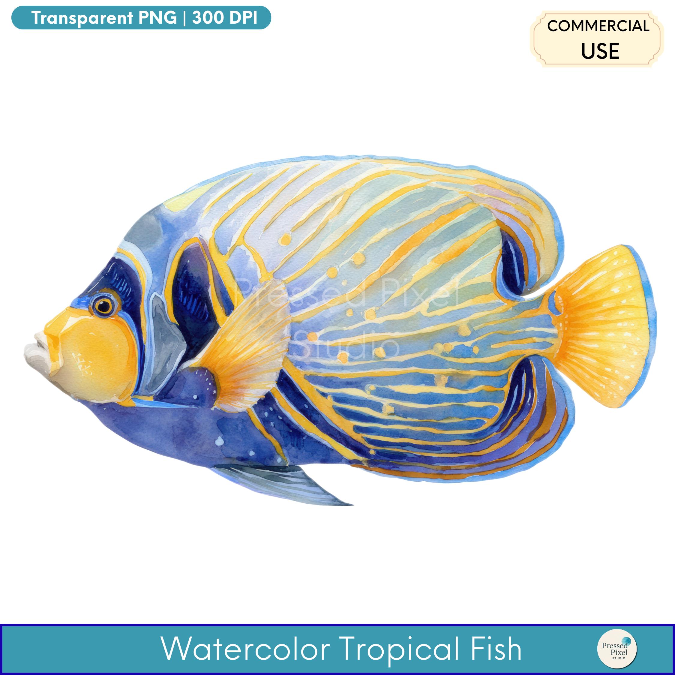 Reef tank sticker - Etsy België, image size:2250x2250