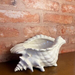 May include: A white ceramic conch shell bowl featuring a glossy finish and intricate, textured ridges along its exterior surface. The bowl has a wide, open top and a tapered, spiraled base, mimicking the natural form of a seashell.