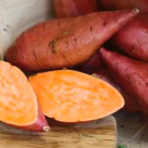 May include: A close-up of several sweet potatoes, some whole and some cut in half. The whole sweet potatoes have a reddish-brown skin. The cut sweet potatoes reveal bright orange flesh. The image is well-lit, highlighting the textures and colors of the vegetables.