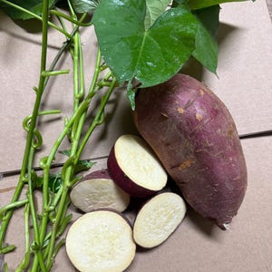 May include: An image of a whole sweet potato with a purple skin and several slices, showing the creamy interior. Green vines and leaves are also present, suggesting a fresh harvest. The sweet potato is a root vegetable.