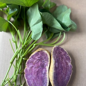 May include: A close-up shot of a halved purple sweet potato with a light brown skin, revealing a vibrant purple interior. Green leafy vines and stems are arranged around the sweet potato, creating a natural and fresh composition.