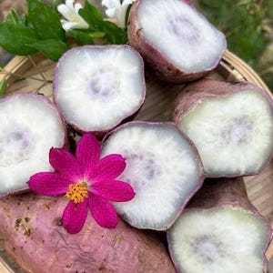 May include: Several sliced purple sweet potatoes with white interiors and a central purple hue, arranged with a vibrant magenta flower featuring a yellow center. The produce is displayed on a woven bamboo tray with green leaves and white flowers.