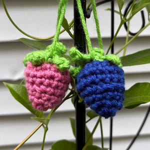 May include: Two crocheted berry ornaments, one pink and one blue, each with a green stem and loop for hanging. The handmade berries are suspended from a black metal trellis, surrounded by green leaves and vines.
