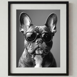 Cute Black and White Brown French Bulldog with Sunglasses, Frenchie, Wall Art, Print, Dog Print, Digital Download, Cool Frenchie, Cute Dog