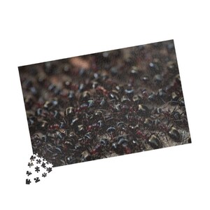 May include: A jigsaw puzzle featuring a close-up image of a large group of ants. The ants are black with reddish-brown bodies, creating a detailed and textured pattern. A few puzzle pieces are visible in the corner.