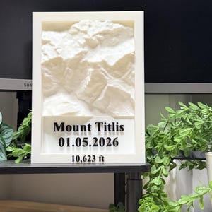 カスタム彫刻山：額入り壁アート、地形ミニチュア