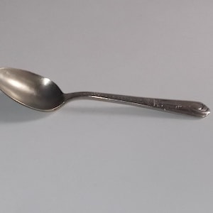 Vintage 1933 Chicago Worlds Fair Collectible Spoon-Green Duck Silver Plate