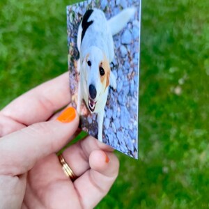 May include: A rectangular print featuring a dog with a white coat, black markings, and tan ears. The dog is looking up with its mouth open. The print is held against a background of green grass.