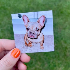 May include: A square photograph of a French Bulldog puppy with tan fur, pink ears, and a wrinkled face. The dog is sitting and looking directly at the camera. The background is a blurred interior.