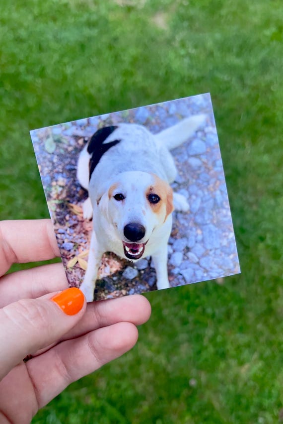 Medium Flexible Fridge Photo Magnets Custom Photo Magnets
