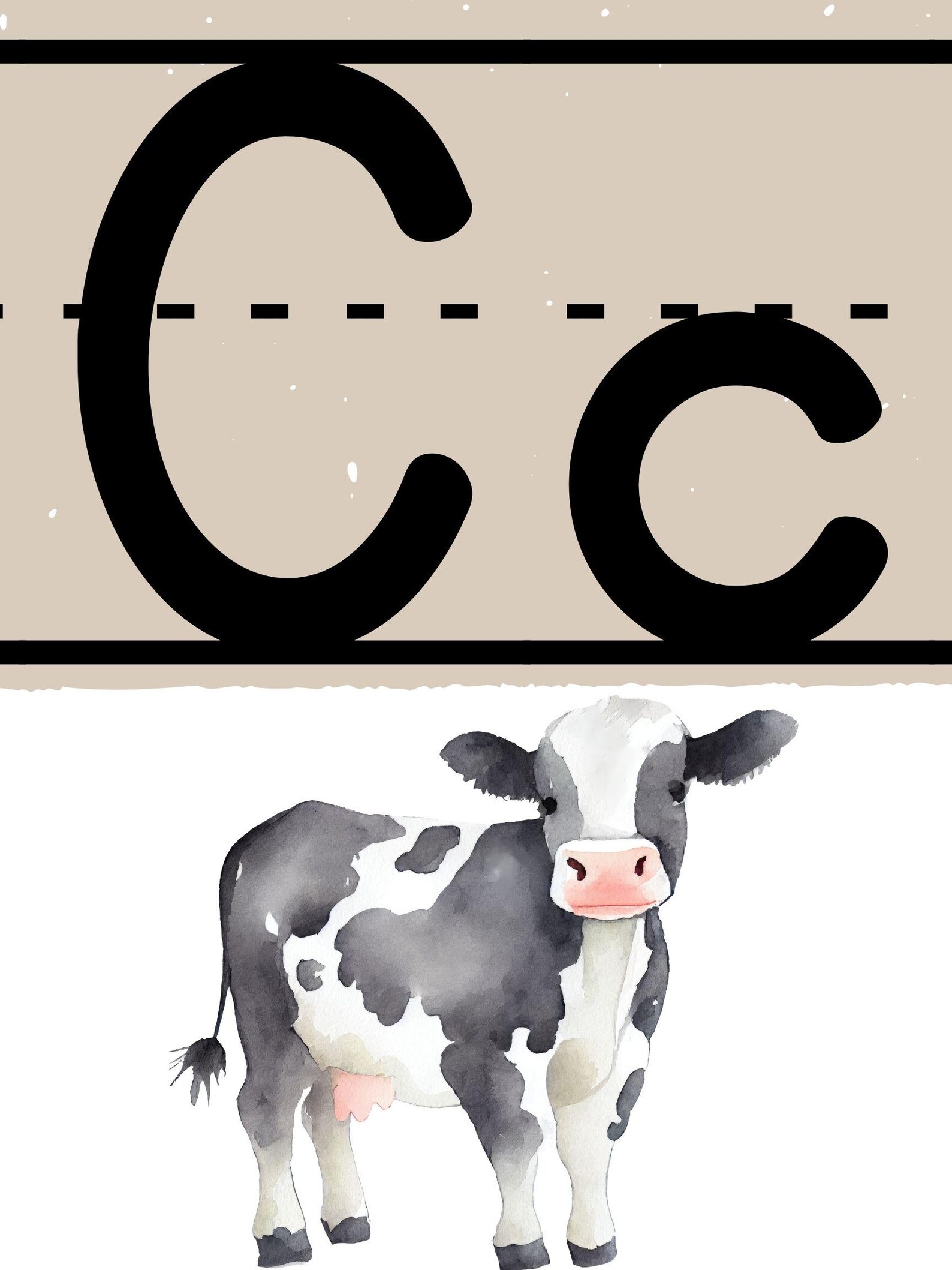 Neutral Alphabet for Classroom - Etsy