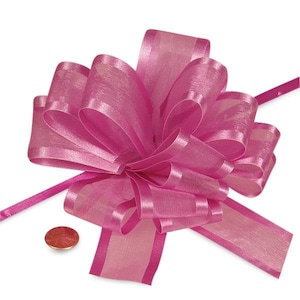 May include: A pink sheer ribbon bow with satin stripes. The bow is tied with a long ribbon tail.