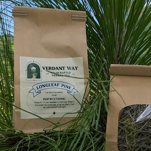 Longleaf Pine Needle Tea