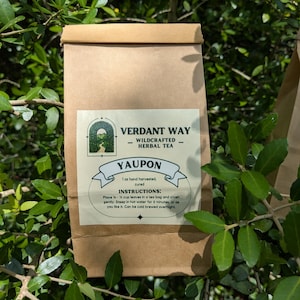 Whole Dried Yaupon Tea Leaves