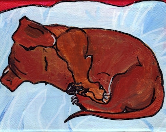 Dackel Art, schlafender Dackel, Dackel Hund Druck, Dackel Druck, schlafender Dackel, Katrine, Dackel Besitzer Geschenk, Dackel Geschenk, Dackel Illustration