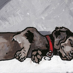 Dachshund Print, Dachshund Art, Dachshund Art by Katrine, wiener dog art, wiener dog print, sleeping dachshund