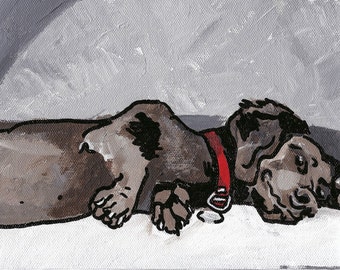 Dachshund Print, Dachshund Art, Dachshund Art by Katrine, wiener dog art, wiener dog print, sleeping dachshund