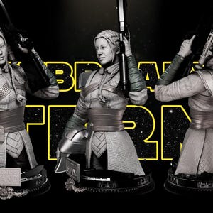 Fennec Shand Bust 3D Printed star wars three piece GREY - 10in
