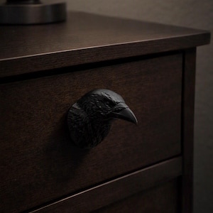 May include: A matte black drawer knob shaped like the head of a raven. The detailed sculpture features textured feathers, a sharp beak, and an alert eye, mounted directly onto the front panel of a dark brown wooden drawer unit.