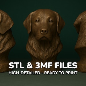 Golden Retriever Dog Bust - STL File - 3MF File - 3D Printable Dog Model - Digital Dog Statue Download