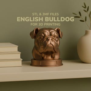 Puede incluir: Busto de bulldog inglés de color bronce para impresión 3D. El texto "STL & 3MF FILES ENGLISH BULLDOG FOR 3D PRINTING" es visible. La escultura está sobre una base redonda, en una estantería con libros y un jarrón.