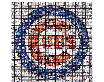 The Cubs Go All The Way