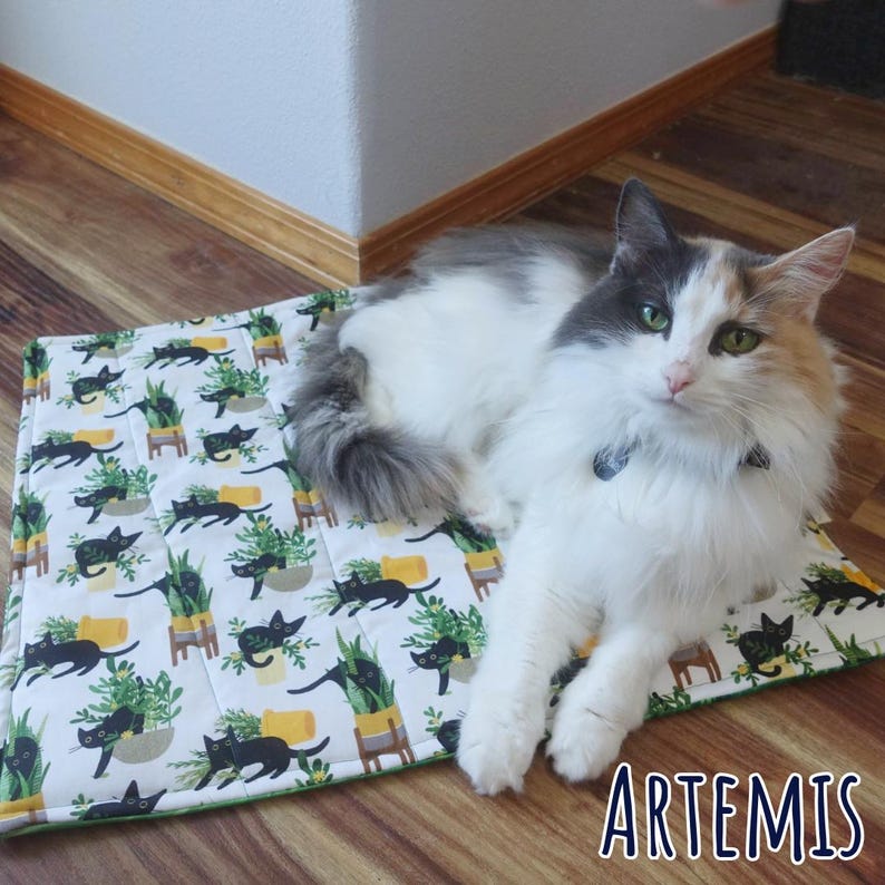 Cat Mat | Fishbones | Cat Bed | Crinkle Mat | Kitten Sleeping Mat ...