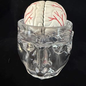 May include: A clear glass container shaped like a human head, featuring a removable top section that reveals a white anatomical brain model with detailed red vascular markings. The glass vessel displays molded facial features including eyes and a nose.