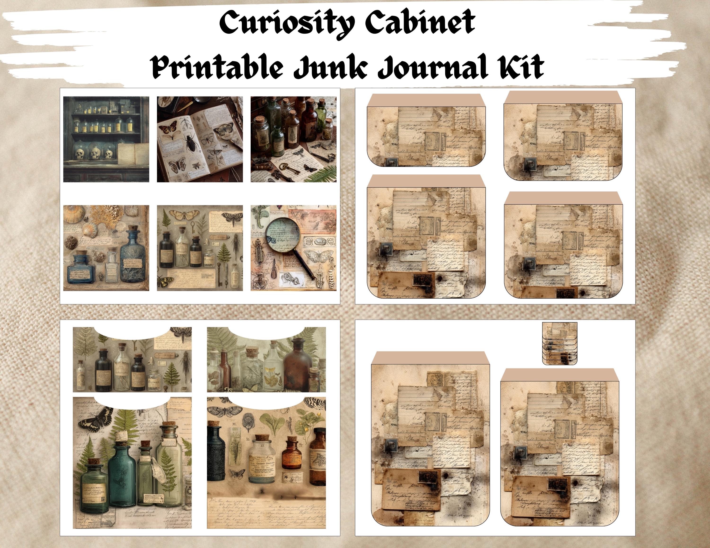 Curiosity Cabinet Digital Junk Journal Kit, Printable Scrapbooking ...
