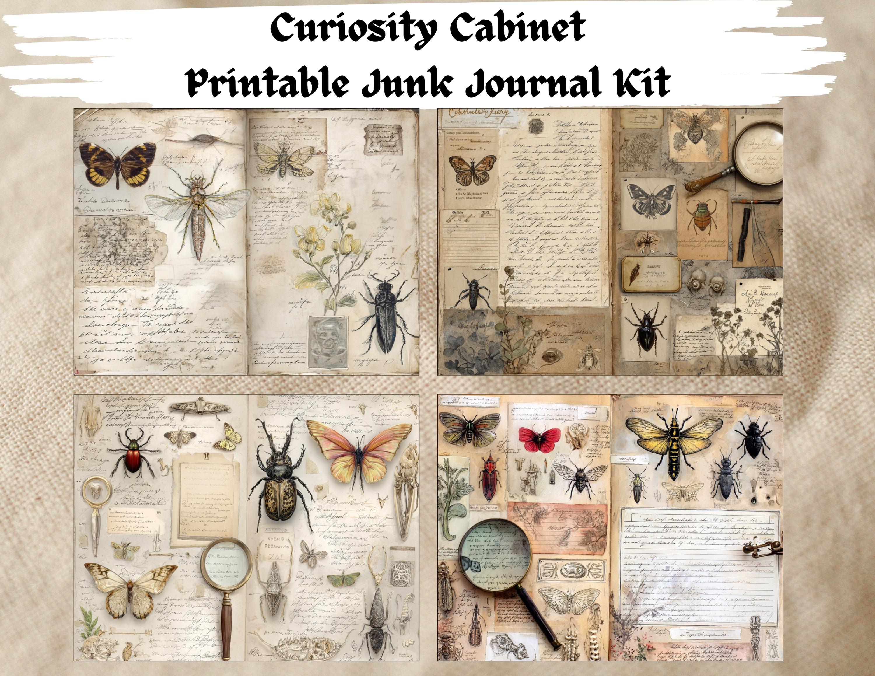 Curiosity Cabinet Digital Junk Journal Kit, Printable Scrapbooking ...