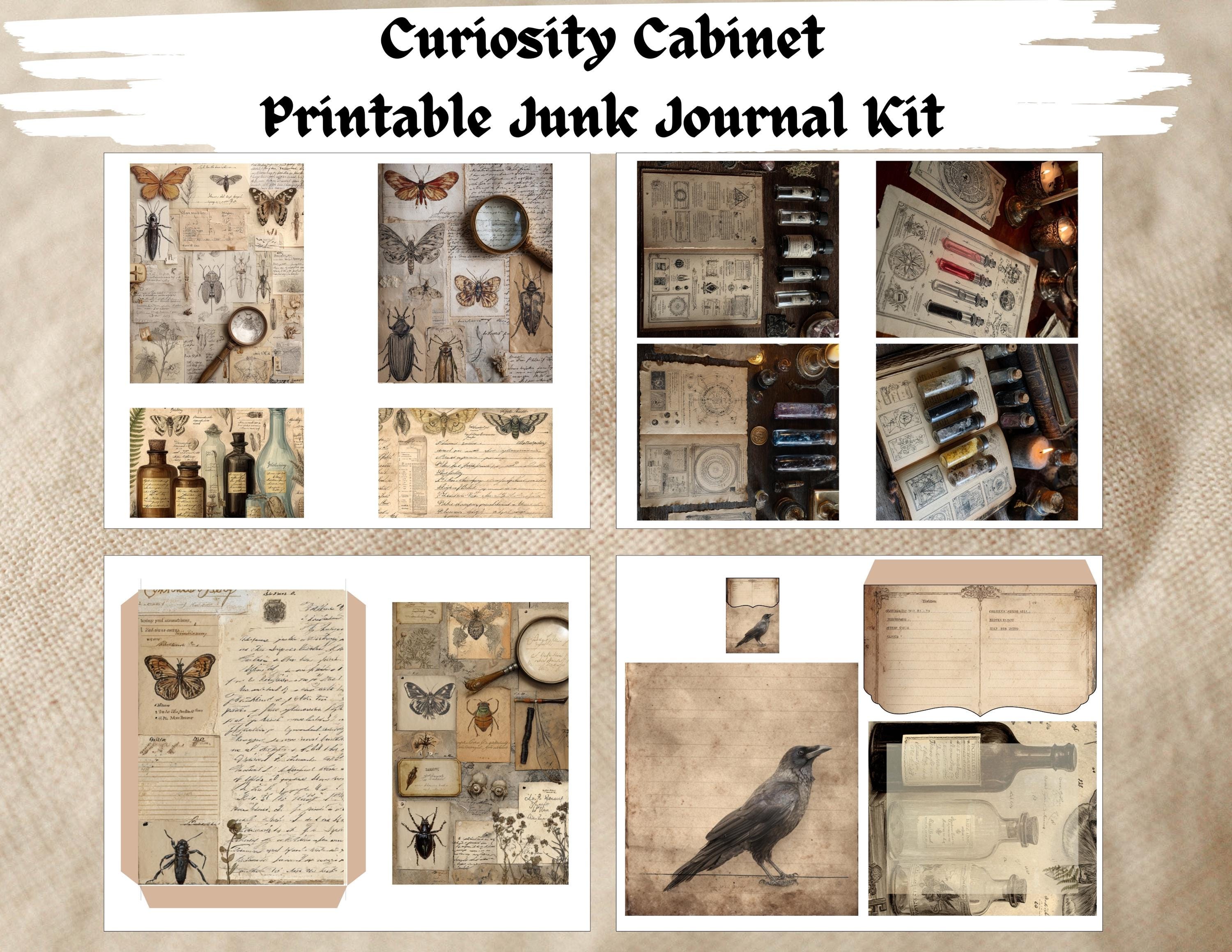 Curiosity Cabinet Digital Junk Journal Kit, Printable Scrapbooking ...