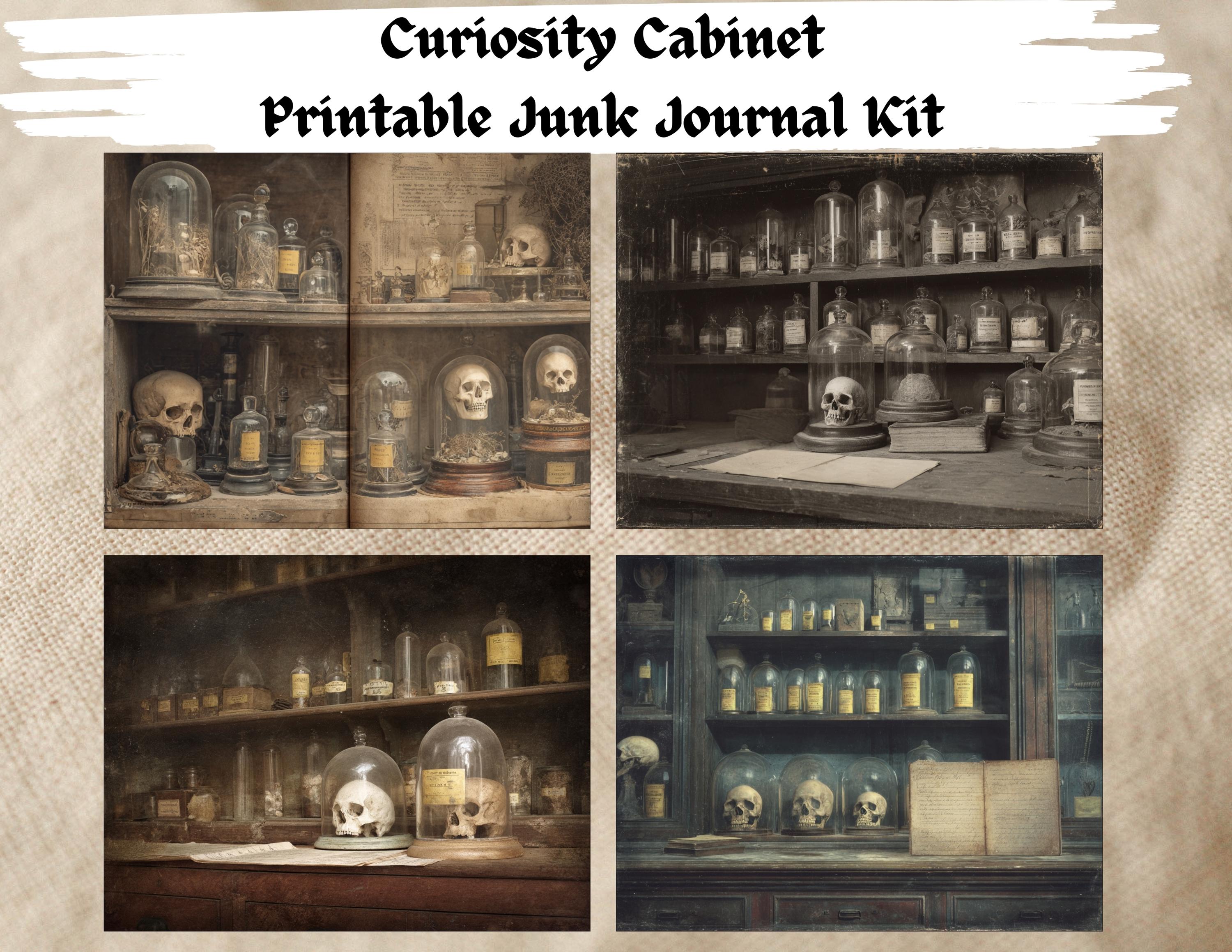Curiosity Journal Curiosity Cabinet Digital Junk Journal Kit, Printable Scrapbooking ...