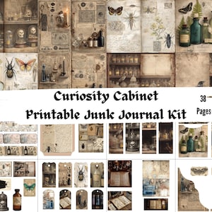 May include: A collage of vintage-style ephemera, including apothecary bottles, insects, and botanical illustrations. The text "Curiosity Cabinet Printable Junk Journal Kit" is displayed. The kit includes 38 pages of printable elements.