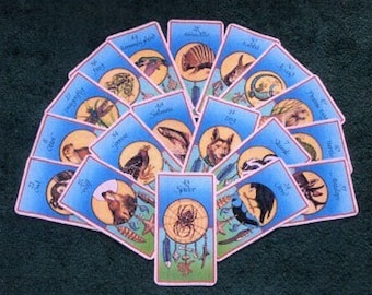 Animal Medicine Card Readings - Choose From 6 Layouts