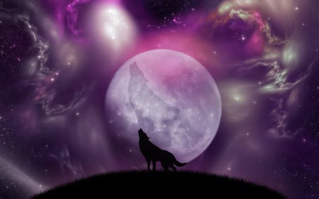 Full Moon Tarot Reading Etsy