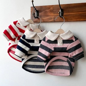 Striped Collar Dog T-Shirt: Lightweight 100% Cotton Puppy Clothes