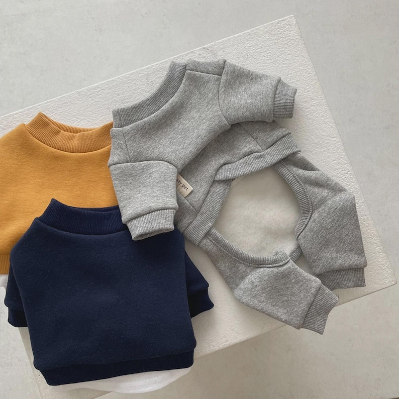 May include: Three pet sweaters in mustard yellow, navy blue, and gray. The gray sweater is a full body suit with a white interior. The other two sweaters are crew neck style. All are made of a soft material.