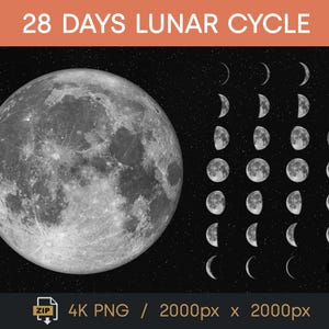 Puede incluir: Ilustración detallada del ciclo lunar, con la luna llena y sus fases sobre un fondo negro estrellado. El texto "28 DAYS LUNAR CYCLE" está en la parte superior. Incluye un archivo PNG 4K, 2000px x 2000px.