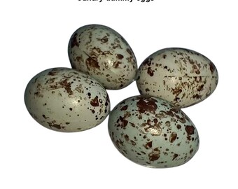thumbnail interactive-video image 1 of Witte Molen Expert Egg Food For Finches & Canaries – 1kg (2.20 Lb), Bird Breeding Diet, Exp 12/2026 1 of 3