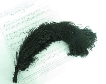 Black ostrich feather antique millinery hat supply vintage feather