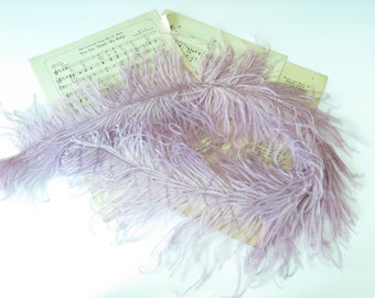 Antique ostrich feather lavender plume vintage millinery supply purple feathers
