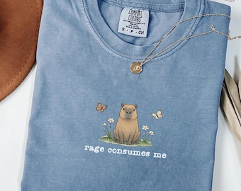 Funny Capybara Meme Shirt Rage Consumes Me, Comfort Colors Vintage Unhinged Capybara Tee, Weird Humor T-Shirt, Sarcastic Capybara Lover Gift