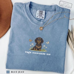 Comfort Colors Rage Consumes Me Shirt, Funny Dachshund Meme Shirt, Vintage Weiner Unhinged Tee, Doxie Mom Shirt Sarcastic Gift For Dog Lover