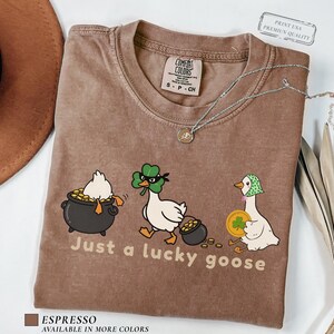 espresso comfort colors t-shirt with three illustrated geese, one in a pot of gold, one wearing a shamrock mask, and one holding a coin, playful st patrick’s day design