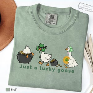 bay comfort colors t-shirt with three illustrated geese, one in a pot of gold, one wearing a shamrock mask, and one holding a coin, playful st patrick’s day design